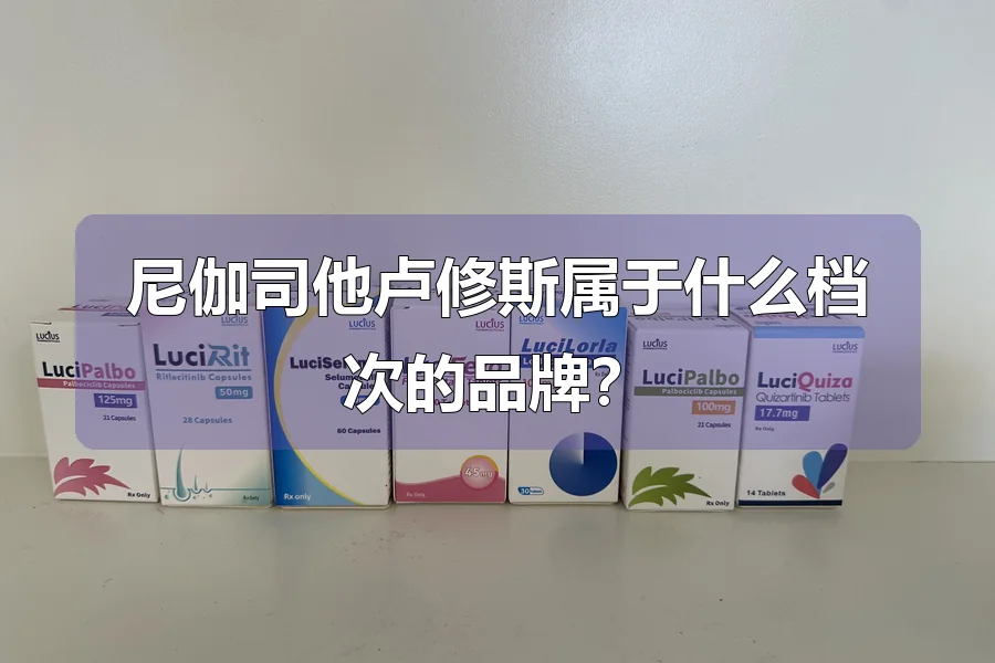 尼伽司他卢修斯属于什么档次的品牌？
