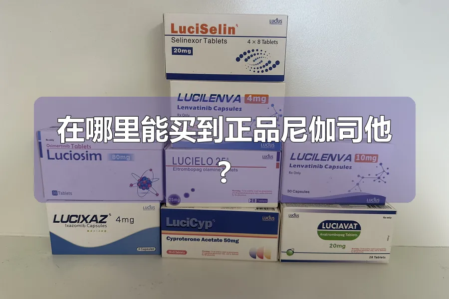在哪里能买到正品尼伽司他?